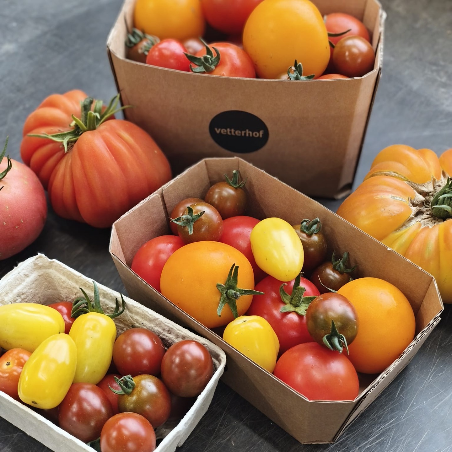 Frische Tomaten aus Vetterhof-Kisten